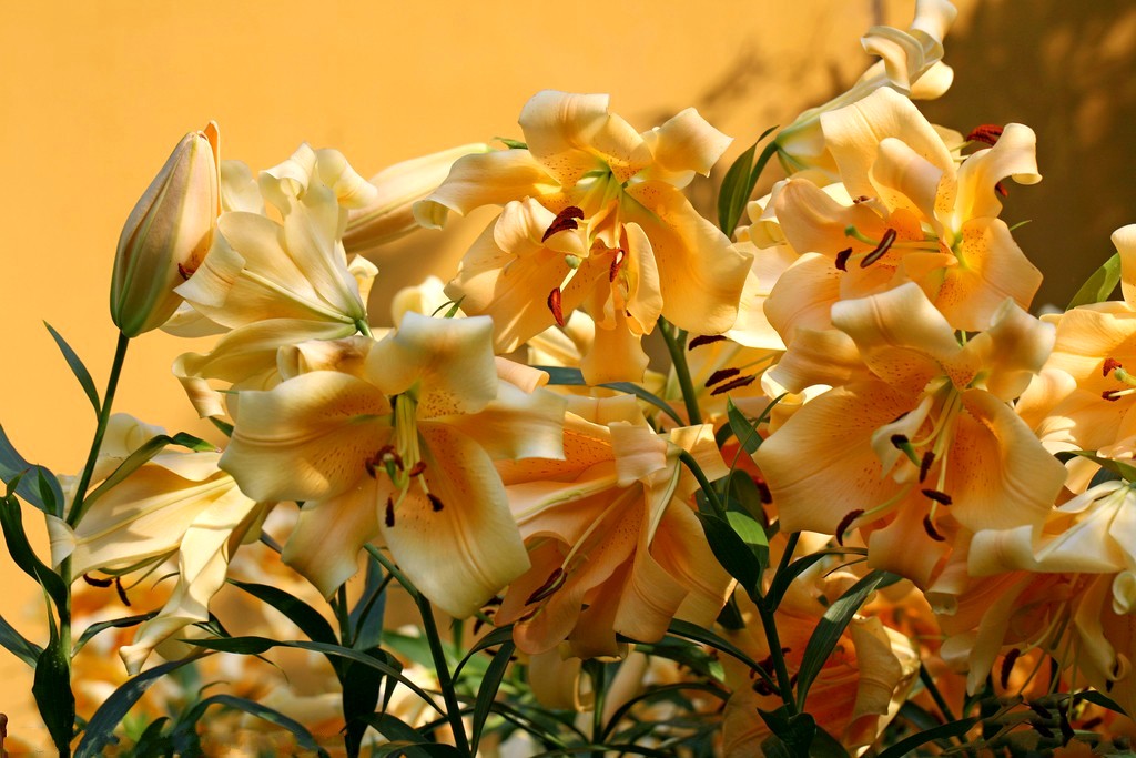 201203242004116631-2757002.jpg