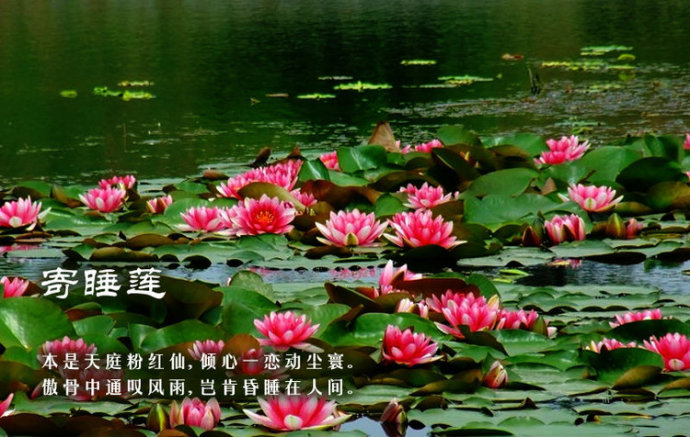 21912121_18.jpg