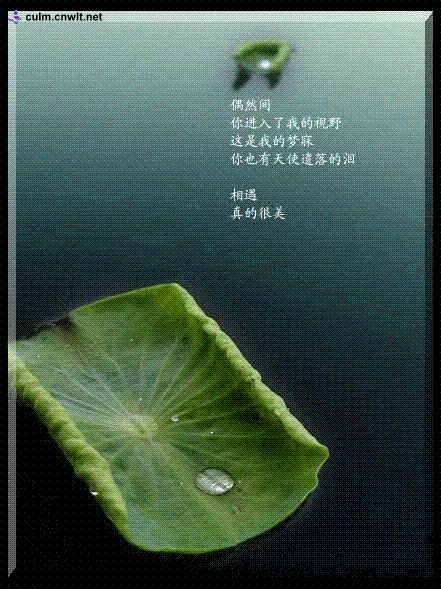 1122876400.gif