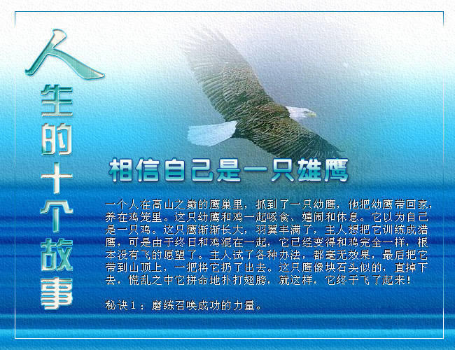 4827407_2.jpg