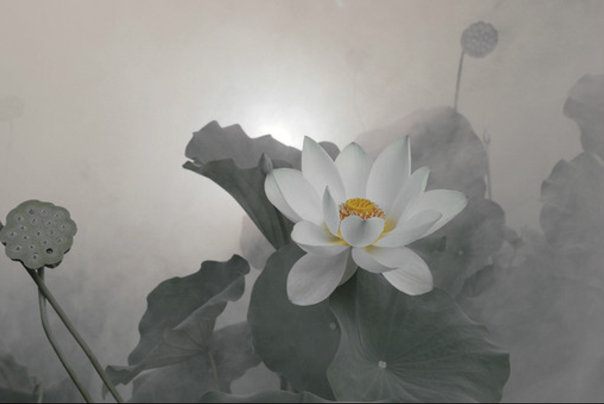 QQ截图20120608125824.png