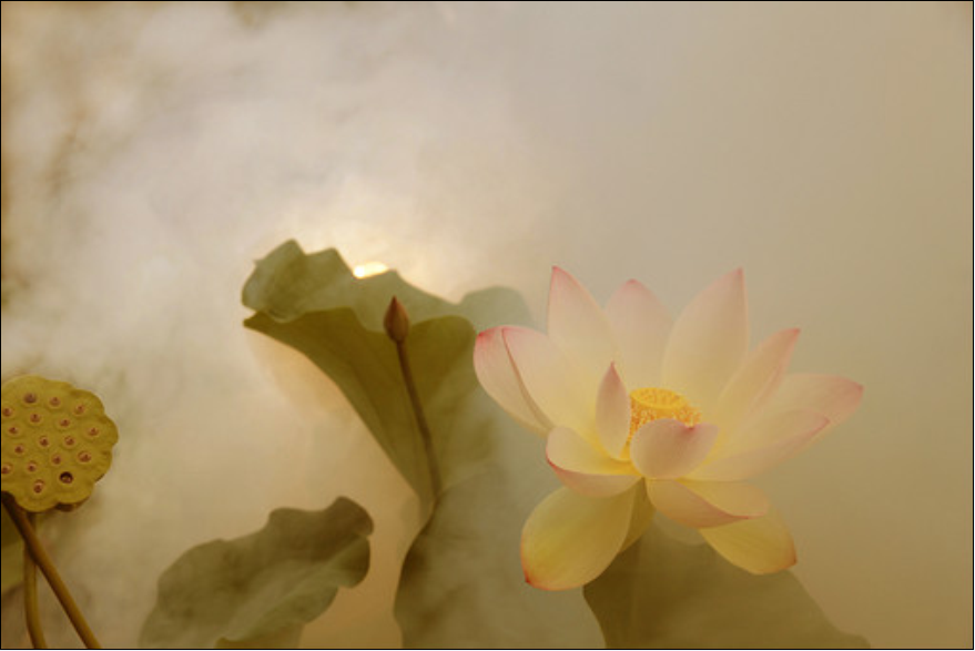 QQ截图20120608125834.png