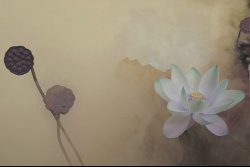 QQ截图20120608130039.png