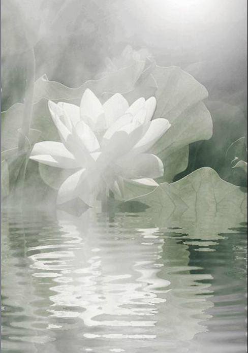 QQ截图20120608130220.png