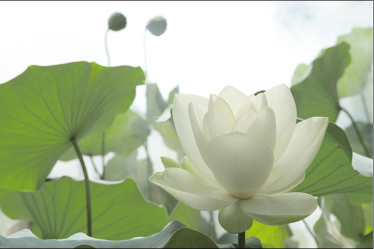 QQ截图20120608130316.png