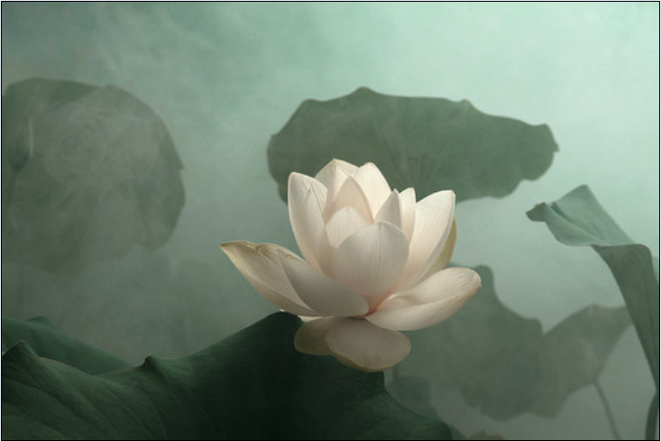 QQ截图20120608130327.png