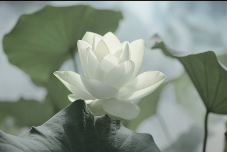 QQ截图20120608130344.png