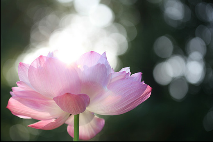 QQ截图20120608130445.png