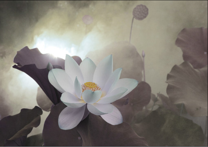 QQ截图20120608130456.png