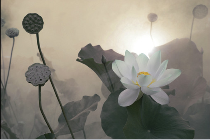 QQ截图20120608130506.png