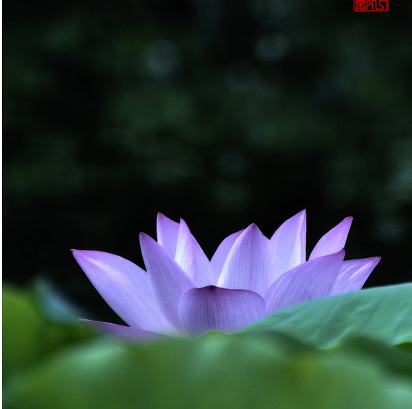 20120620115706.png