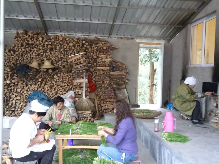 1206201454dea39b07c90cf82b.jpg