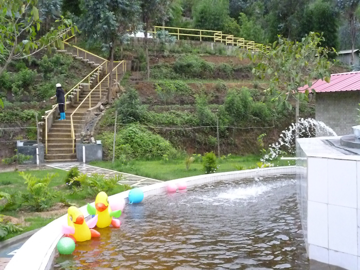 1206201649232cddd9dbdd7978.jpg