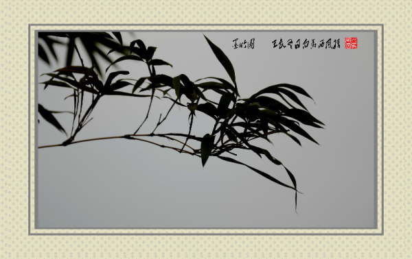 083700etq4xmiirw4pqpea_编辑.jpg