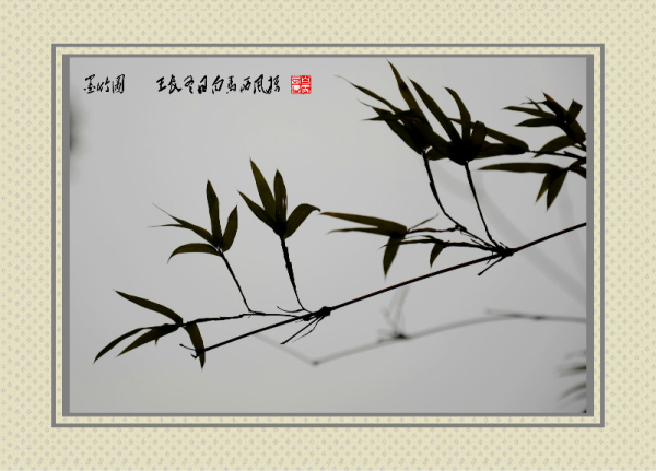 083753dnsqqgafvsnnfaf9_编辑.jpg