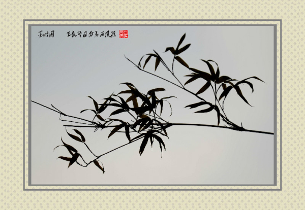 083814toirootij4td5cms_编辑.jpg
