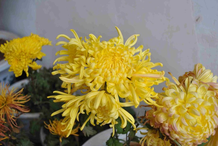 1730021khhay10bac9ahai.jpg