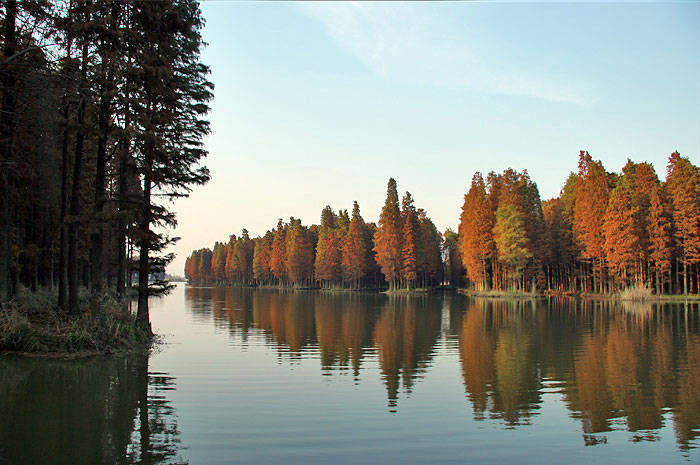 21049729_17.jpg