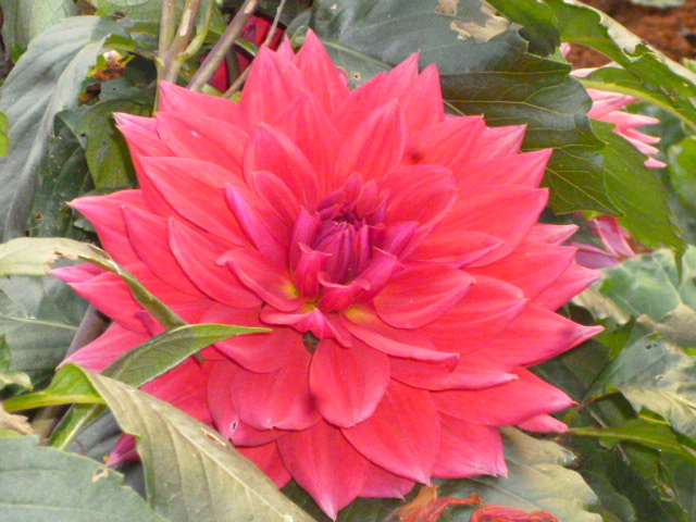 200952b82sh1f1p180j9q1.jpg