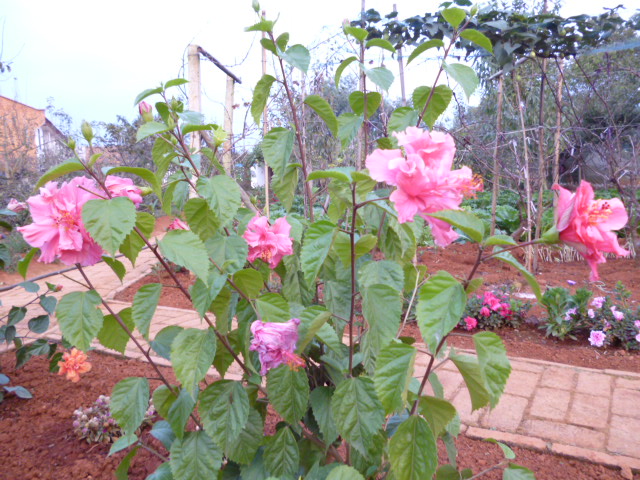 201119sck99rw6kzv9ft5f.jpg