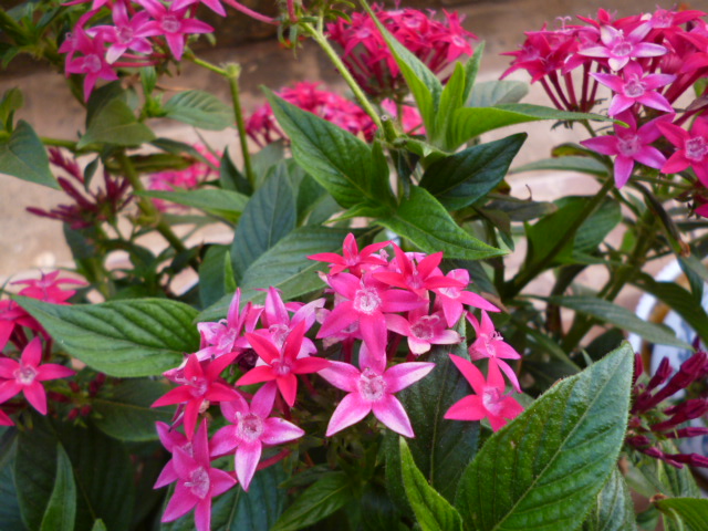 2001362j0jza6zqg47277j.jpg