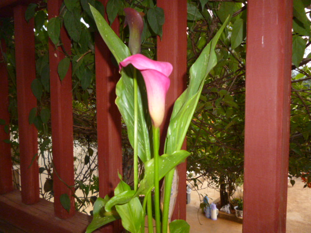 2012525sz277w237zqsp7p.jpg
