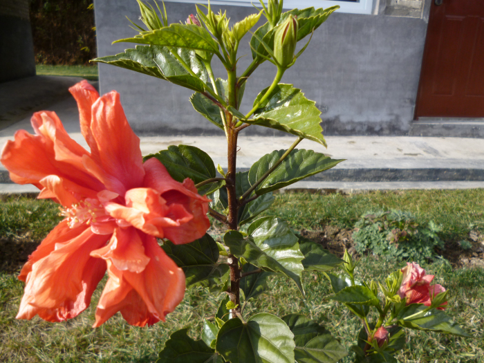 163901wsies2e9d7xncmb8.jpg