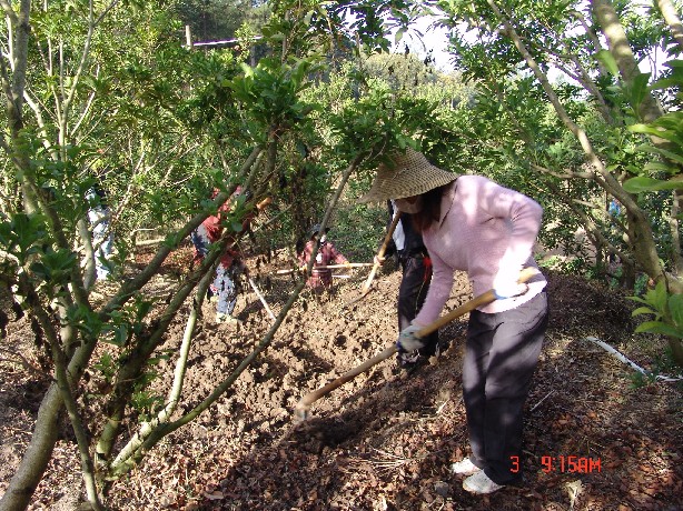 124709lb2dodhyucy7uazu.jpg