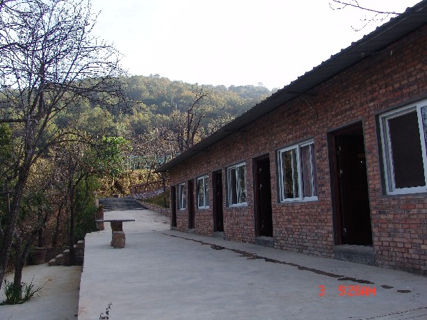 125011ifkzsikgvyygnig6.jpg
