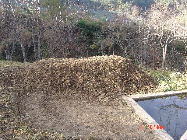 12512856clqukidct6ghic.jpg