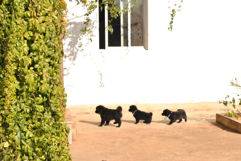 200553nqojq6p5ljqicylo.jpg