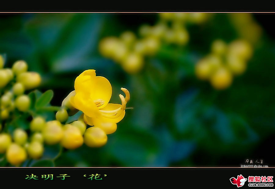 3035ebd20300919af7172099676f75ec.jpg