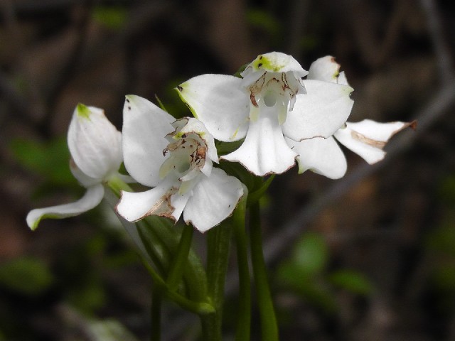 S2070012.JPG