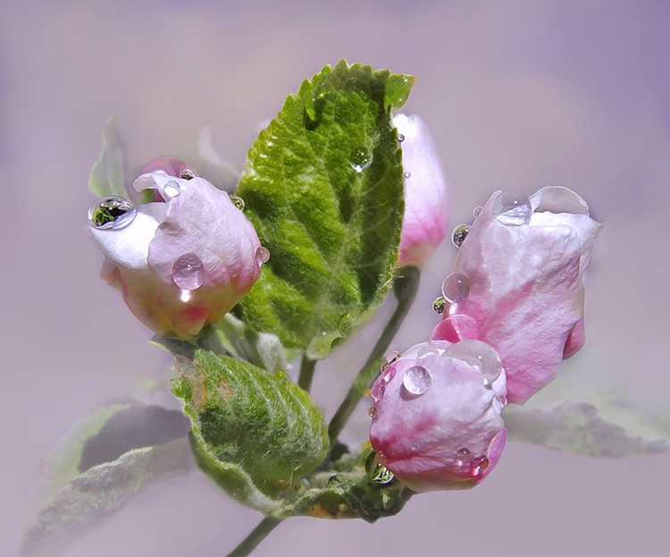 29124633_8.jpg