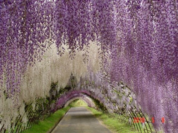 2013030611405745637.jpg