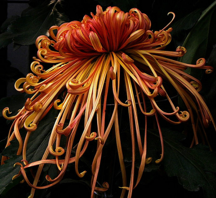 30437946_28.jpg