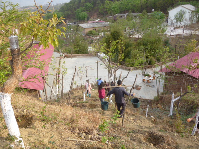 223643lt07pax1h01rc06p.jpg