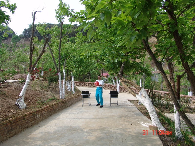 165041mmkpt2ffsiztvzrb.jpg