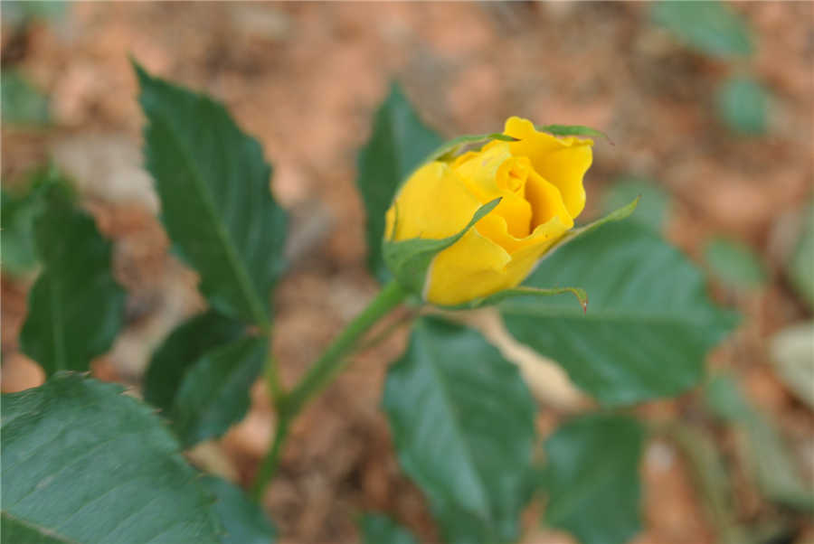 230219frss5bswpz8pg8pg.jpg