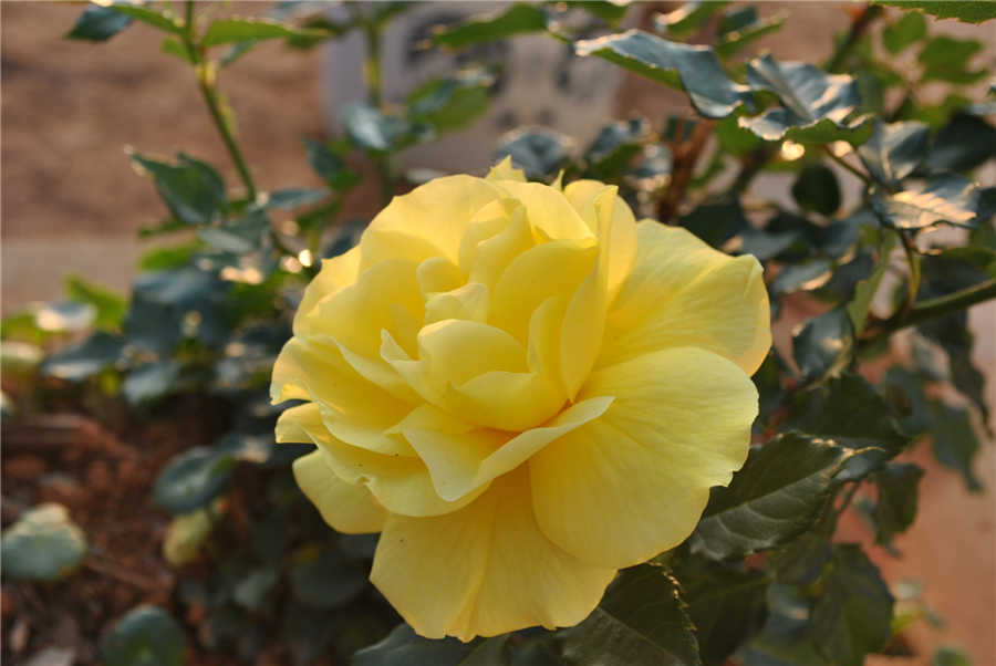230446jmhp7cron0pp7py0.jpg