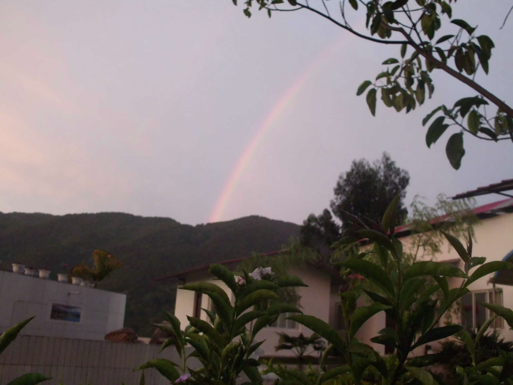 152027t8nhnhthqtq6k6vn.jpg