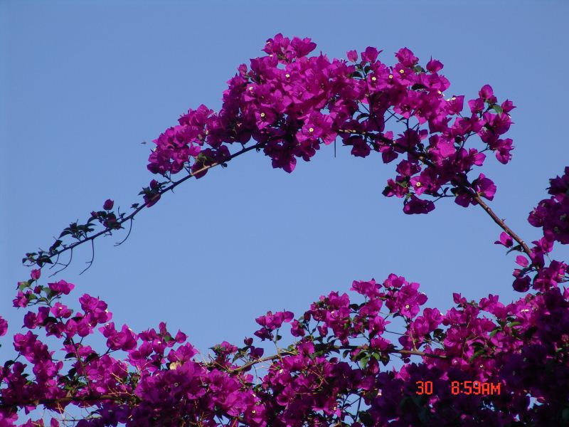 172609ynd385d5dqr8axni.jpg