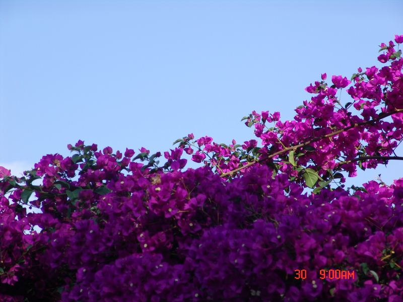 172629uz88cvih08jc0hji.jpg