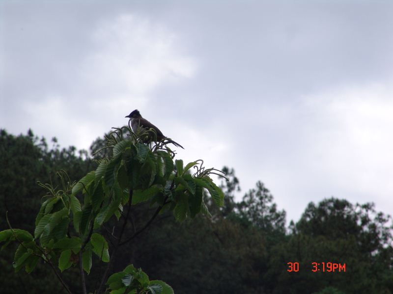 122207wfcpm6m422t54evz.jpg