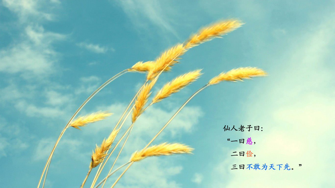 G003.jpg