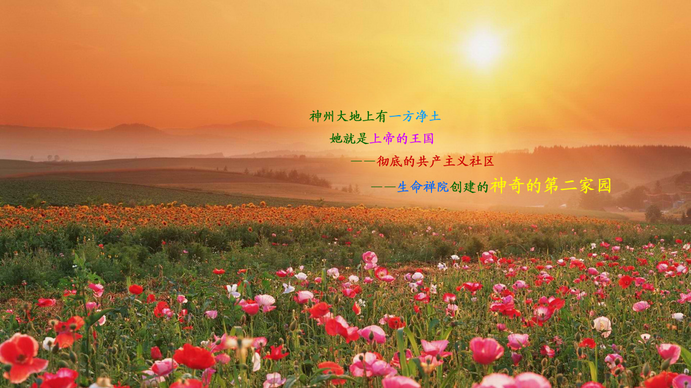 G008.jpg