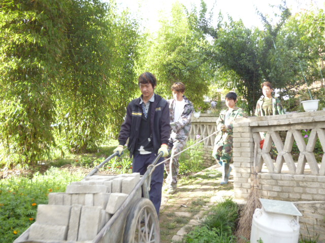 150454vr4dxcreslnq4cwp.jpg
