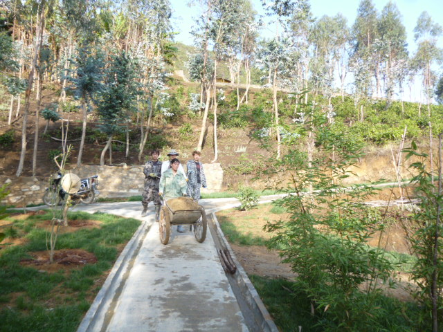 153523nbzpzjal9aoaup5f.jpg