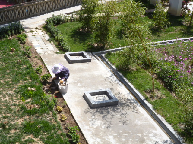 154104x31xa4axp51x8sda.jpg