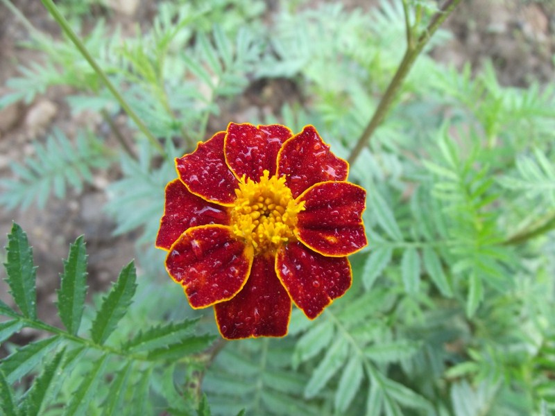 124401sw5y7vvn67wnmqg6.jpg
